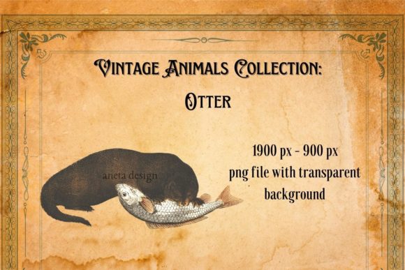 A Charming Look at the Vintage Otter Illustration