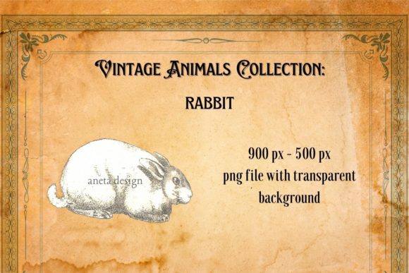 Bringing Timeless Whimsy to Modern Projects with a Vintage Rabbit Illustration