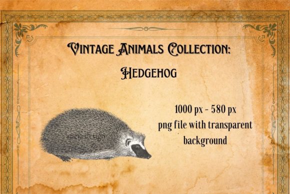 Charming the Audience: The Enduring Appeal of the Vintage Hedgehog Illustration