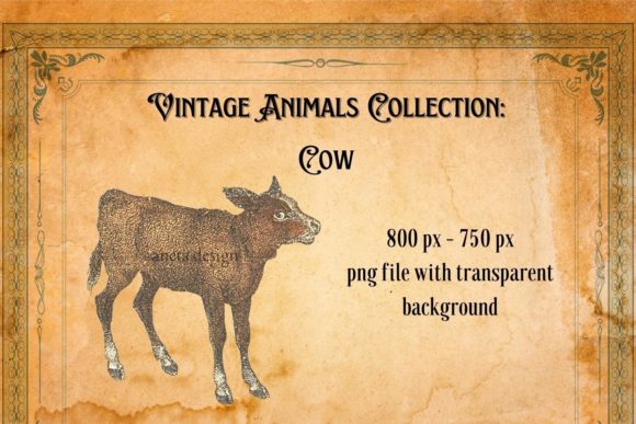 Charming Vintage Cow Illustration: A Designer's Delight
