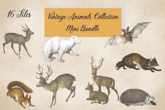 Charming Vintage Forest Animals for Creative Projects