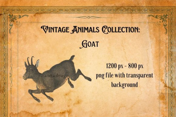 Rediscovering Charm: The Vintage Goat Illustration