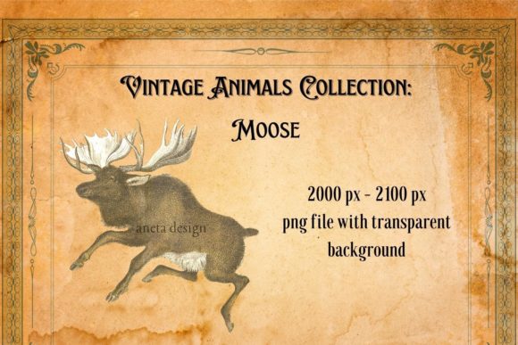 Timeless Charm: The Vintage Moose Illustration for Creative Projects