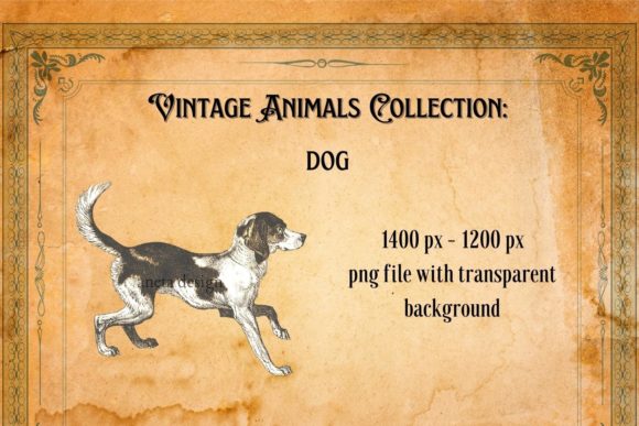 Timeless Charm: Using Vintage Dog Illustration in Your Projects