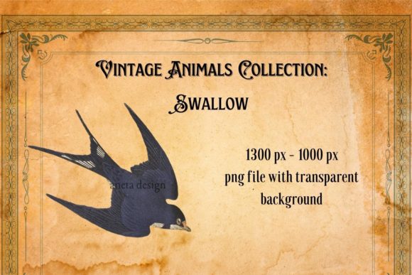 Timeless Charm: Working with the Vintage Swallow Illustration