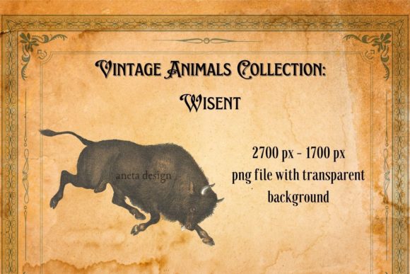 Vintage Wisent Illustration: A Timeless Design Asset